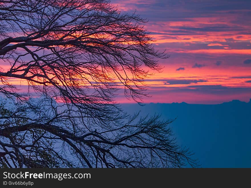 Sky, Red Sky At Morning, Afterglow, Sunrise