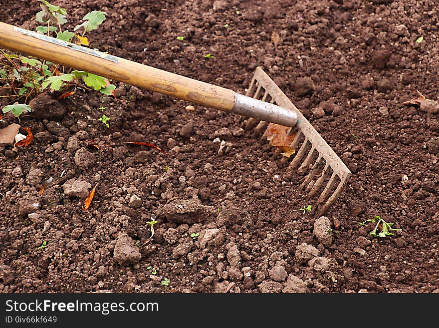 Soil, Plant, Grass, Sowing