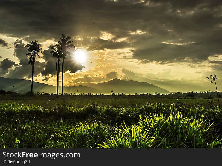 Sky, Nature, Field, Atmosphere