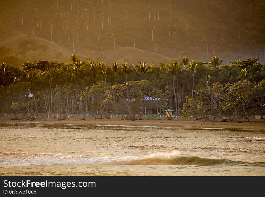 Tropical beach in the Dominican Republic at dawn