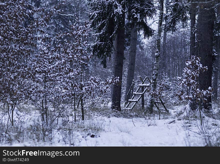 Animal feeder in a snow-covered forest