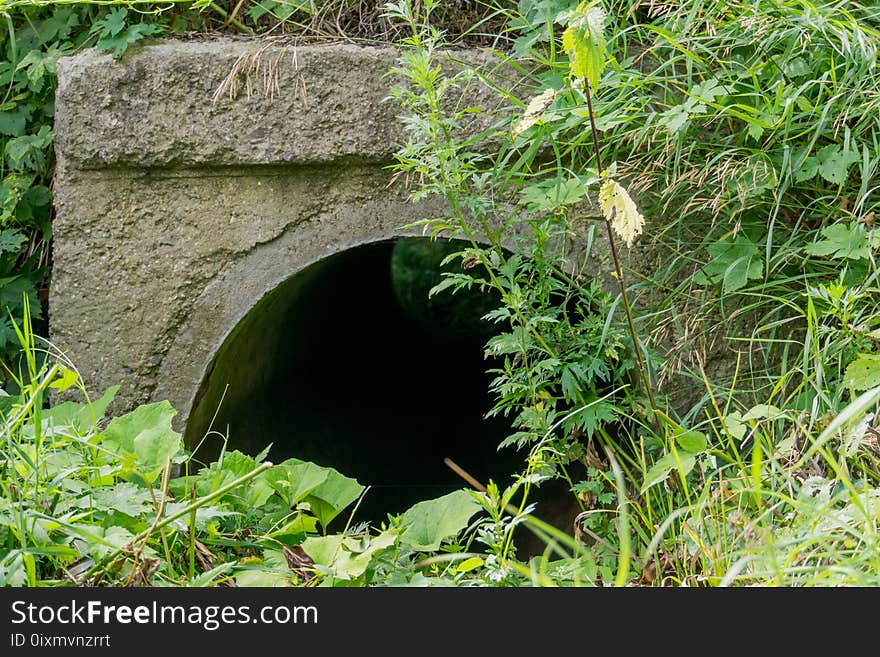 Old Drain Pipe