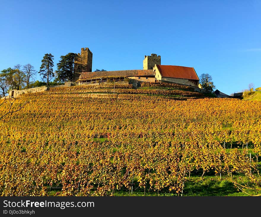 Sky, Agriculture, Field, Farm