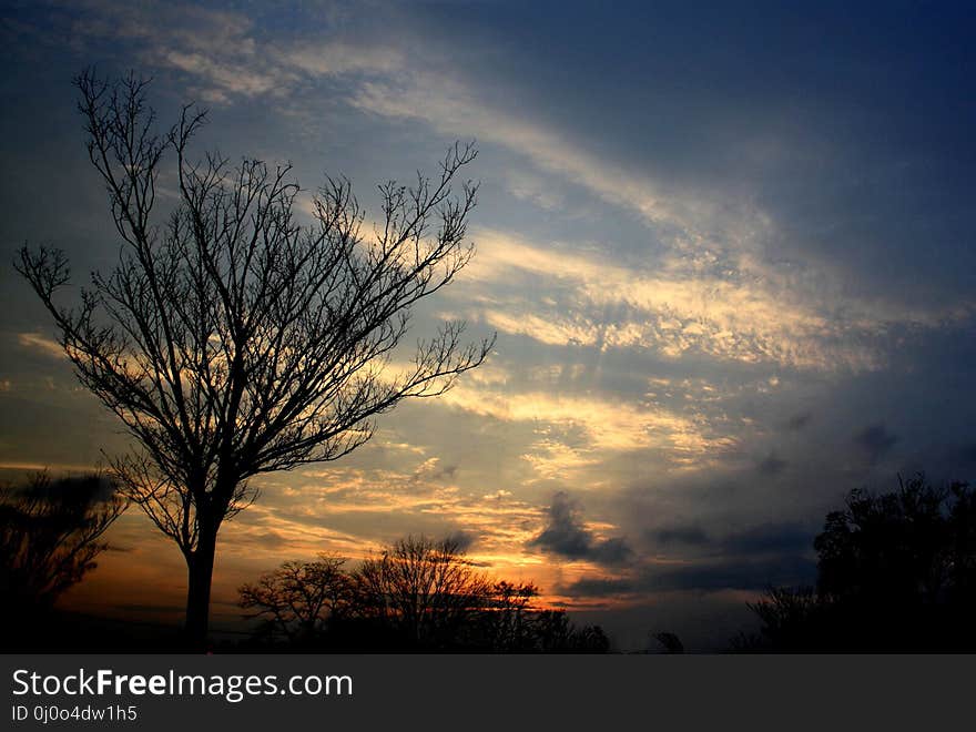 Sky, Cloud, Nature, Tree