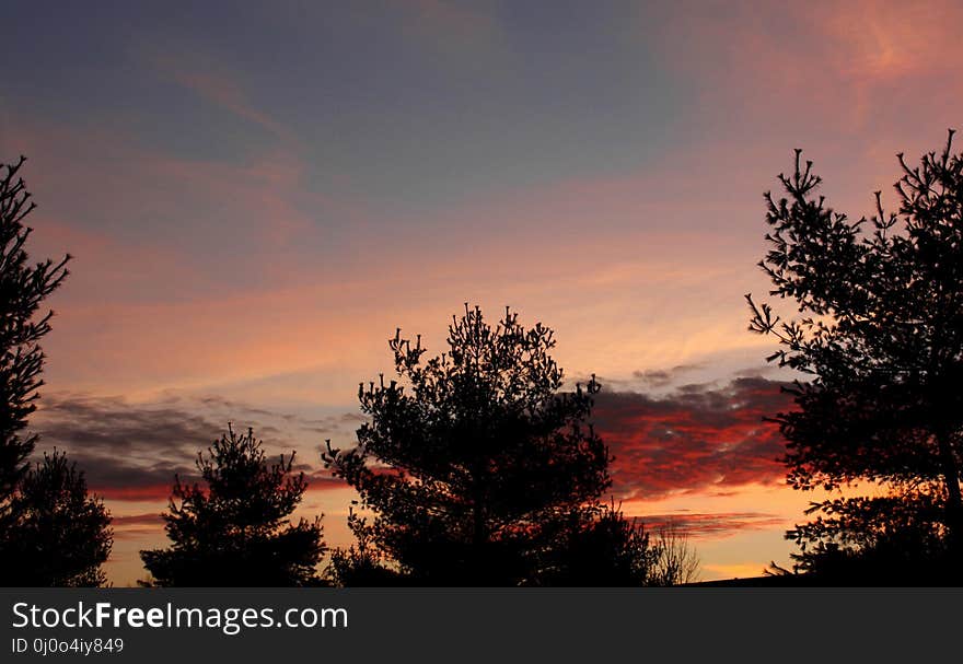 Sky, Red Sky At Morning, Afterglow, Cloud