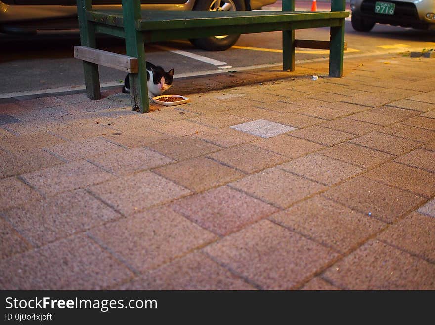 Floor, Public Space, Flooring, Road Surface