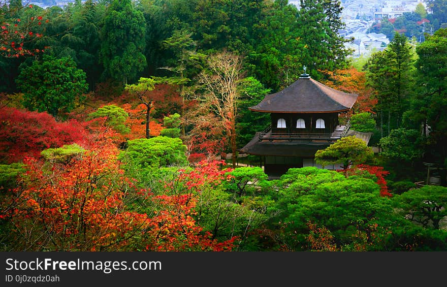 Ginkakuji Temple