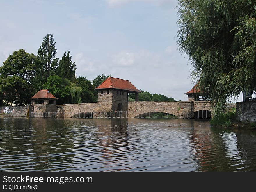 Waterway, Water, River, Tree