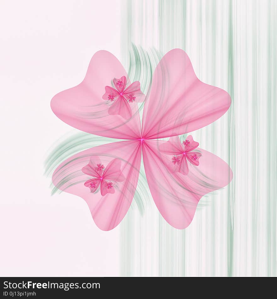 Flower, Pink, Petal, Cut Flowers