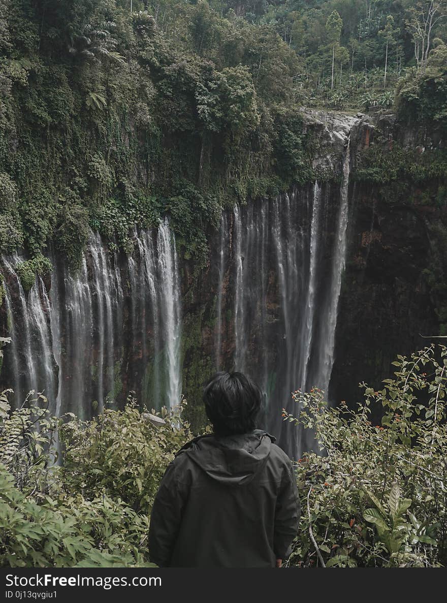 Waterfall, Nature, Water, Body Of Water