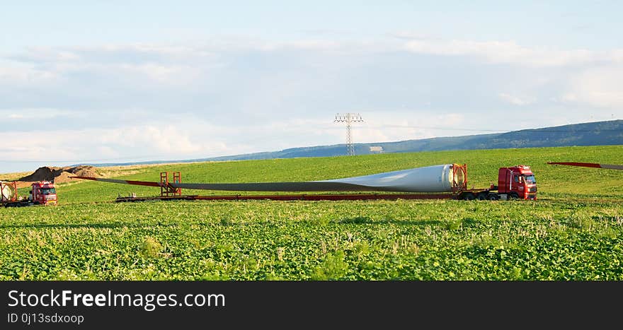 Grassland, Farm, Field, Plant