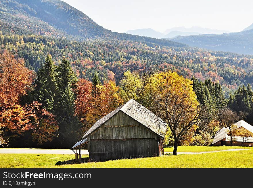 Nature, Leaf, Mountainous Landforms, Wilderness