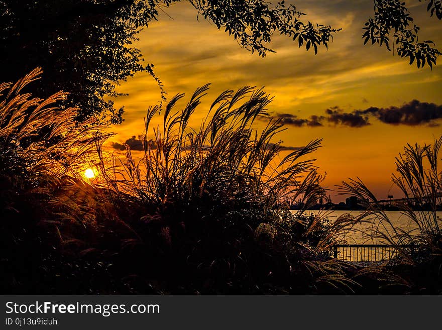 Nature, Sky, Sun, Sunset