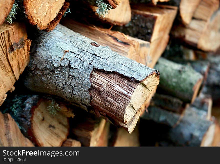 Wood, Trunk, Lumber