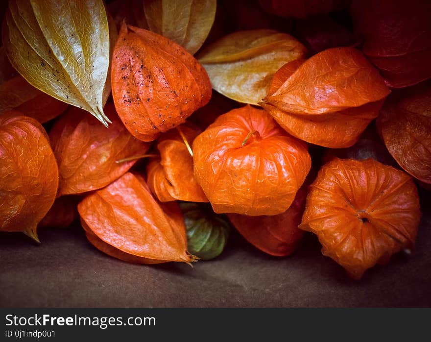 Fruit, Orange, Vegetable, Local Food