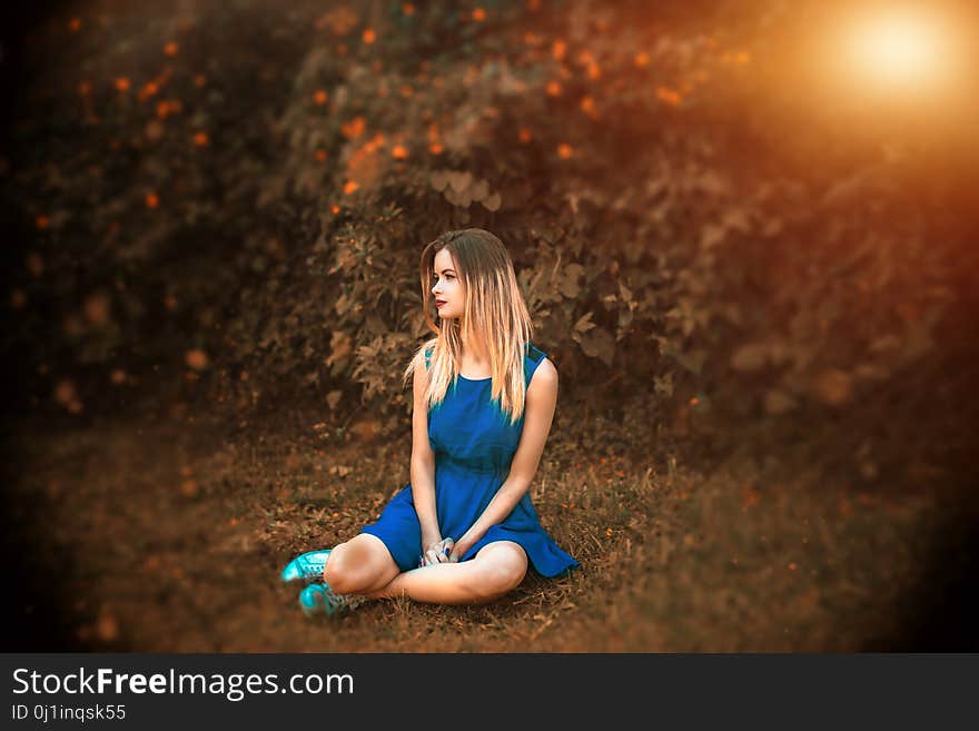 Blue, Photograph, Nature, Sitting