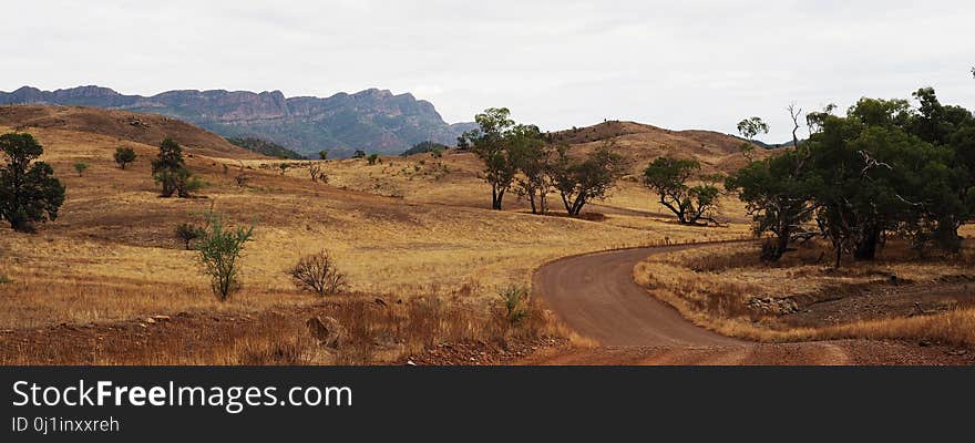 Wilderness, Mountainous Landforms, Ecosystem, Road