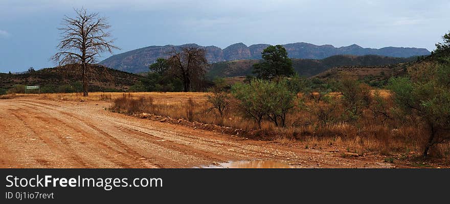 Road, Soil, Vegetation, Mountainous Landforms