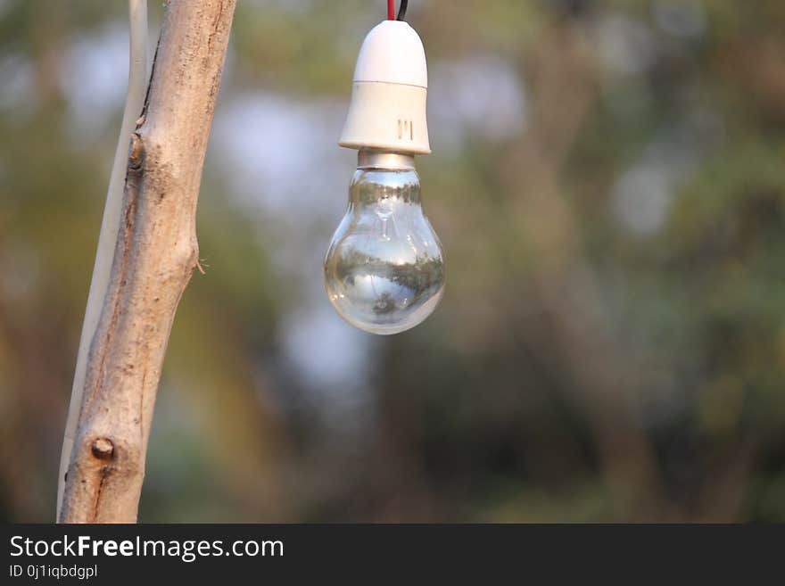 Lighting, Light Fixture