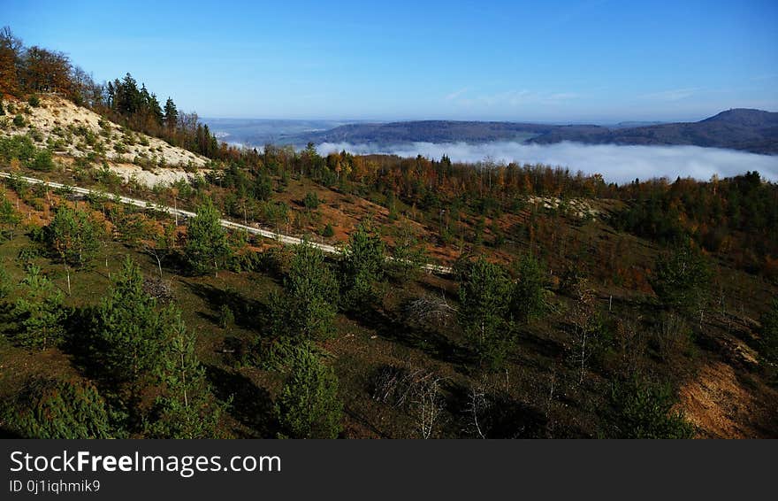 Wilderness, Nature Reserve, Mountain, Vegetation