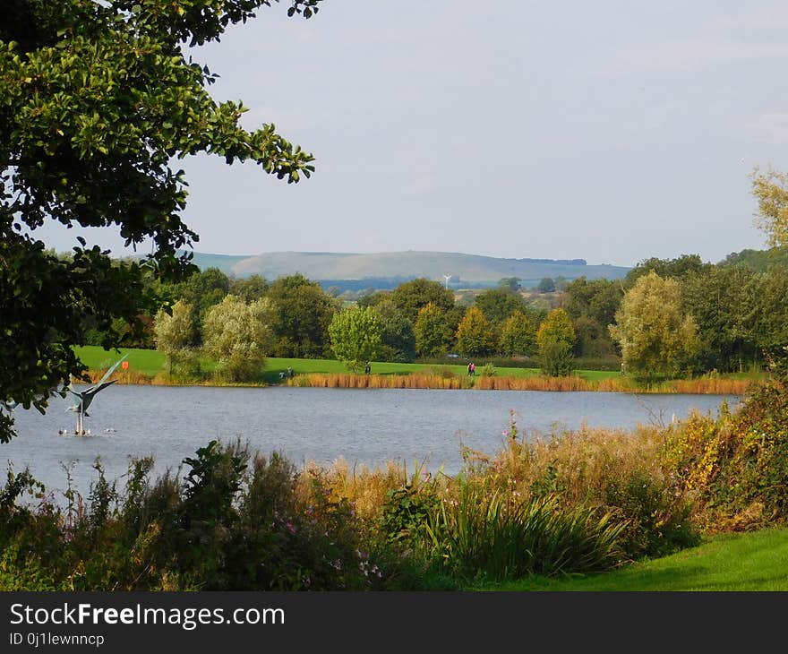 Nature, Nature Reserve, Lake, Wilderness