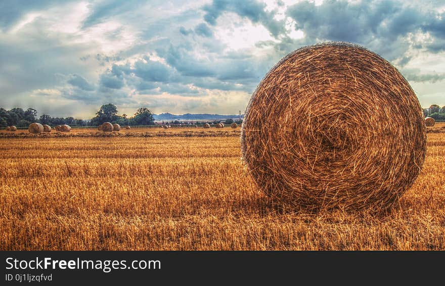 Hay, Field, Straw, Sky