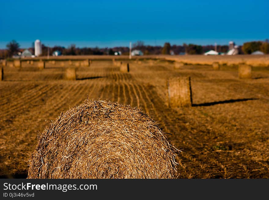 Hay, Sky, Field, Straw