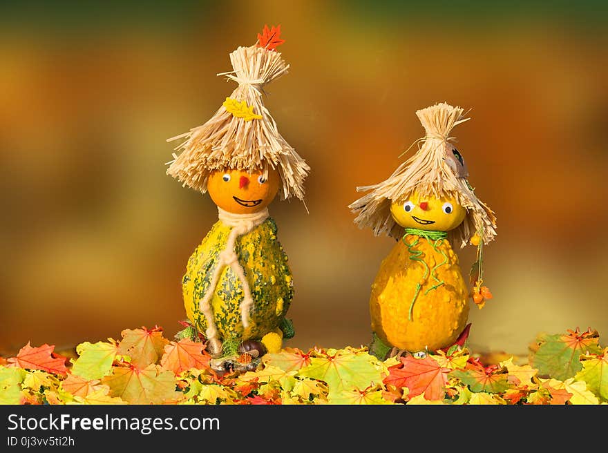 Yellow, Leaf, Scarecrow, Grass