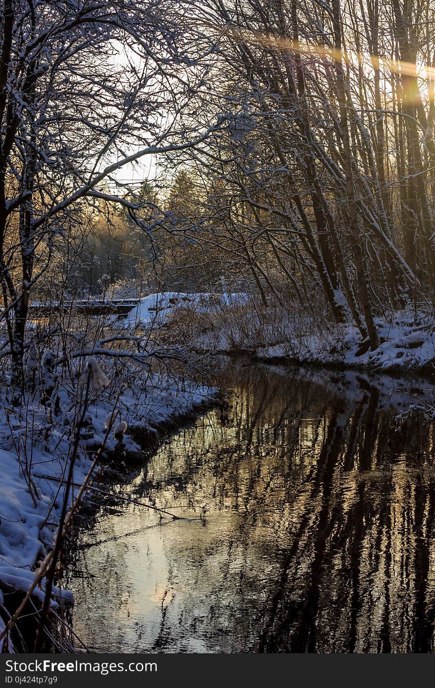 Winter frosty sunny landscape