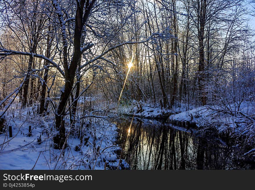 Winter frosty sunny landscape