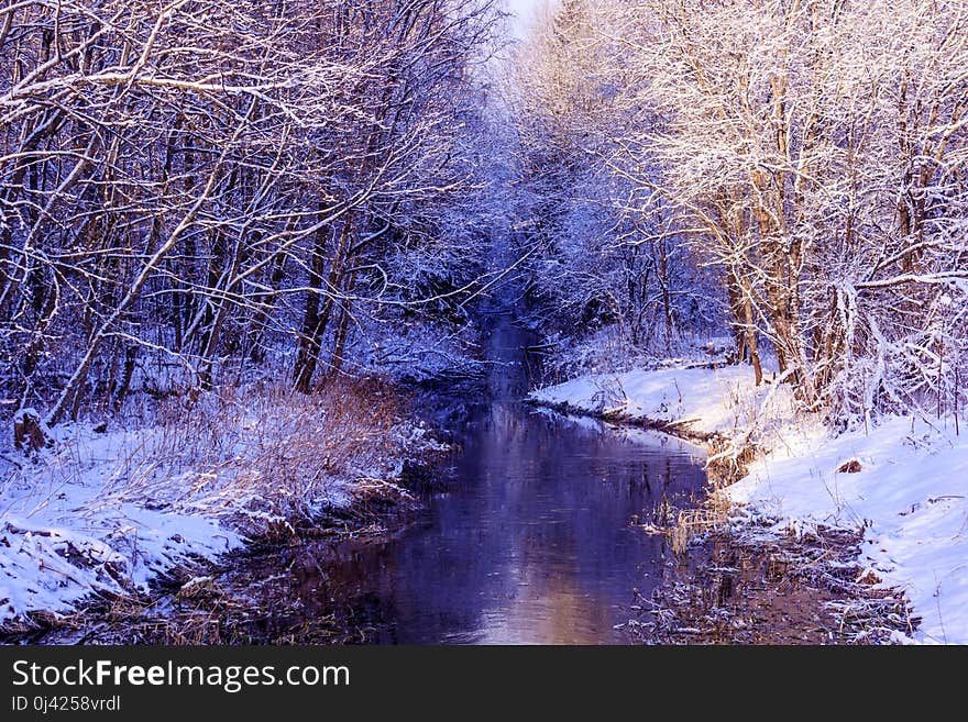 Winter frosty sunny landscape