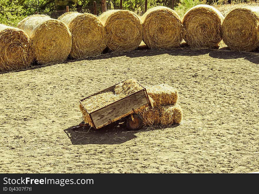 Hay, Straw, Soil, Wood