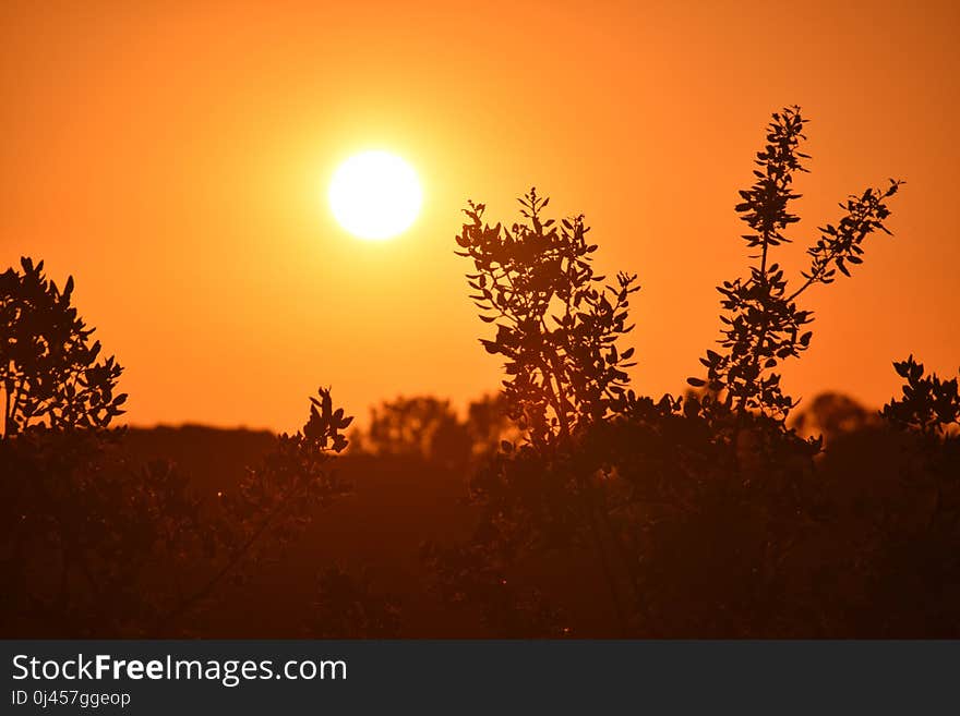 Sky, Sunrise, Sun, Sunset