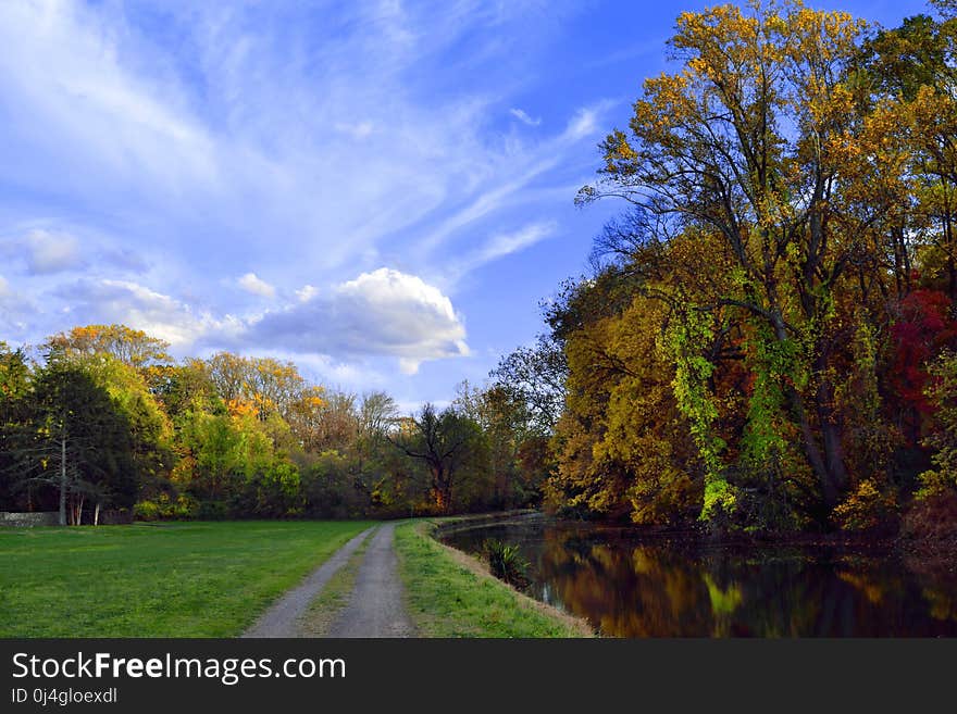 Sky, Leaf, Nature, Cloud