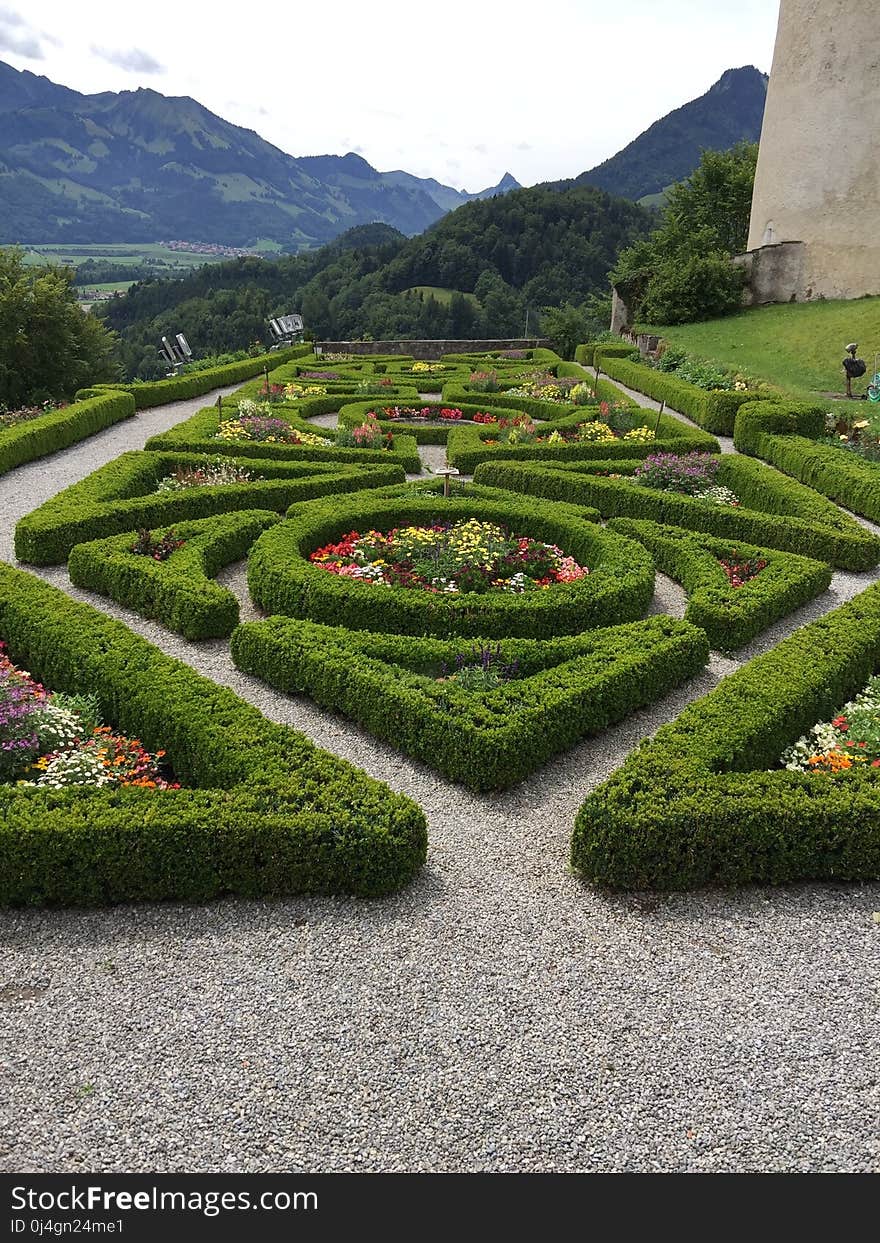 Garden, Botanical Garden, Vegetation, Flora