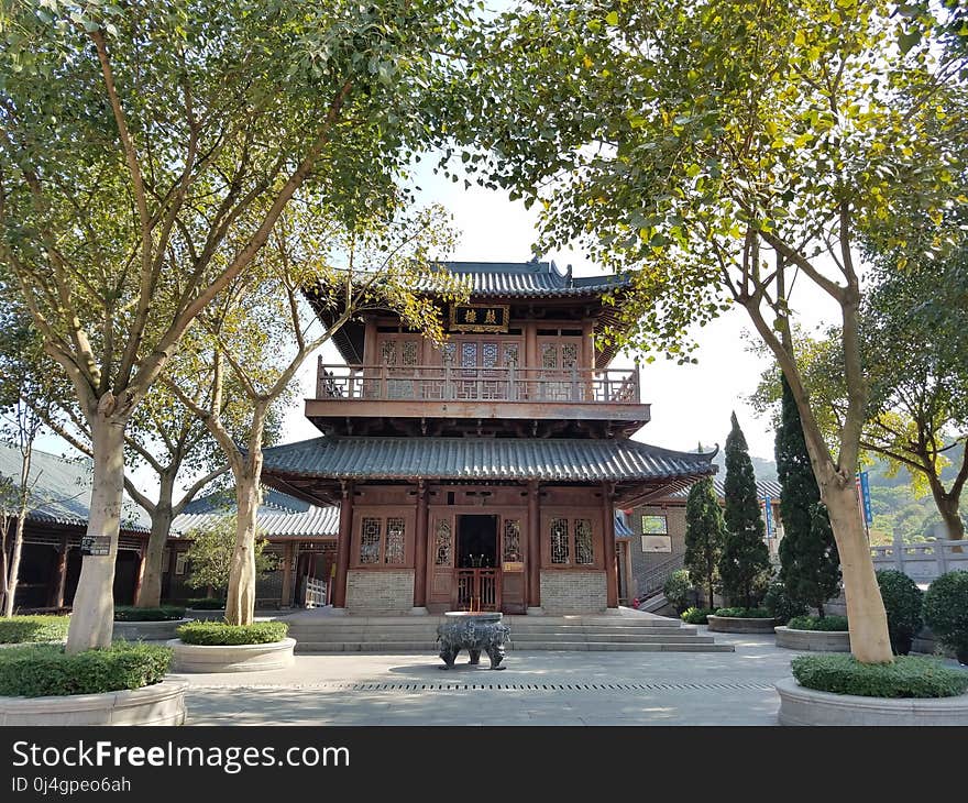 Chinese Architecture, Tree, Shinto Shrine, Temple