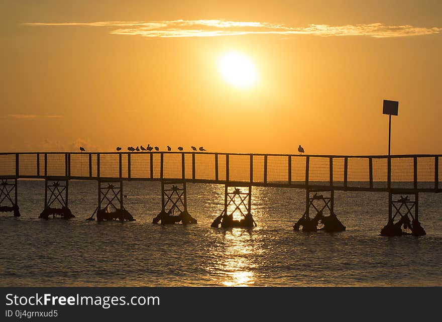 Sea, Sunset, Sun, Sunrise