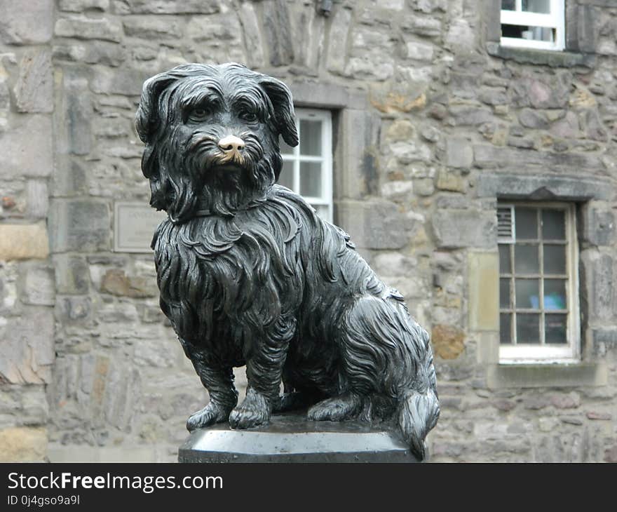 Dog Breed, Dog Like Mammal, Dog, Statue