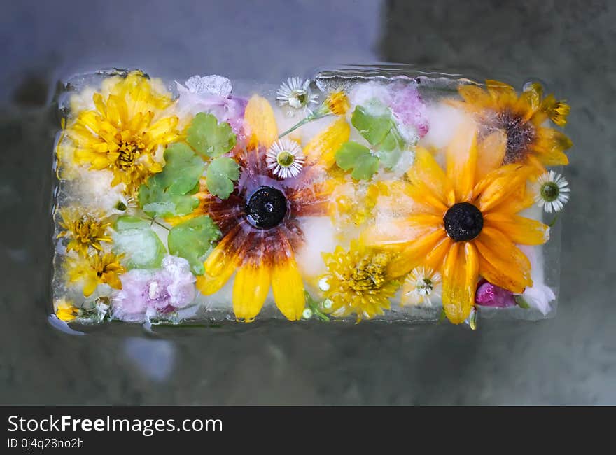 Ice cube with flowers on green grass at summer.