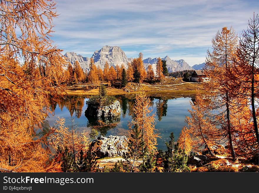 Reflection, Nature, Water, Wilderness