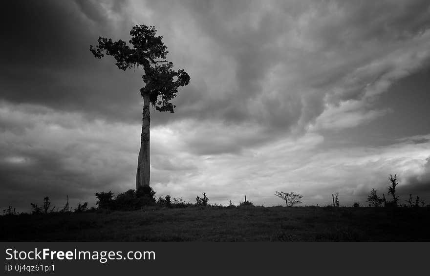 Sky, Cloud, Black And White, Monochrome Photography