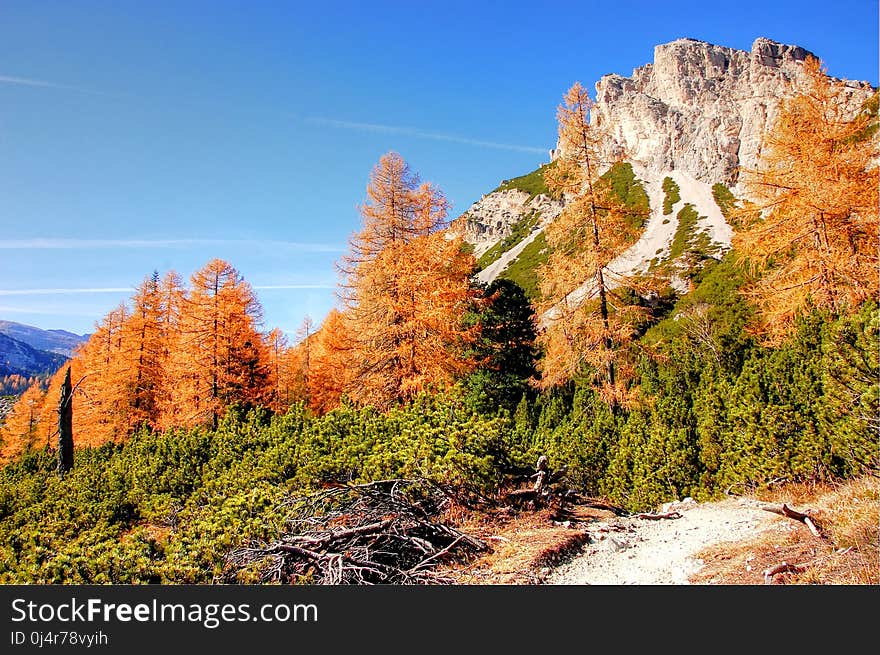 Nature, Wilderness, Leaf, Mountain