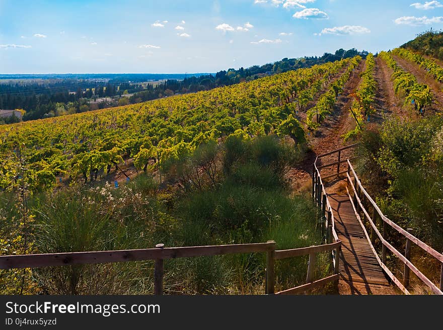 Track, Sky, Agriculture, Transport