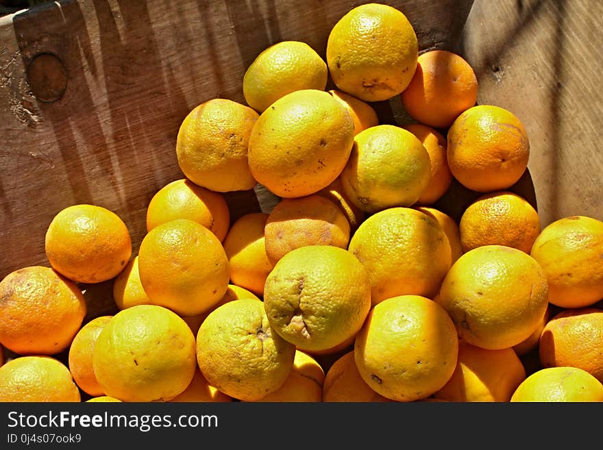 Citrus, Fruit, Produce, Valencia Orange