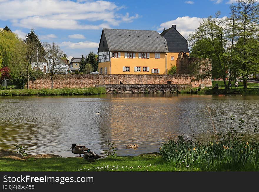 Reflection, Water, Nature, Waterway