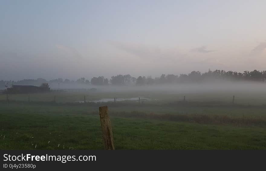 Fog, Mist, Sky, Morning