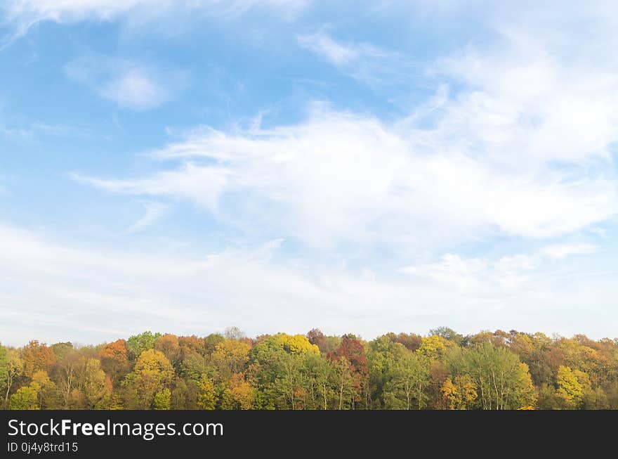 Sky, Cloud, Daytime, Ecosystem