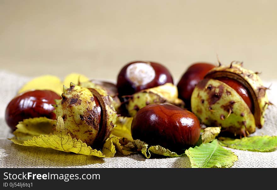 Food, Mozartkugel, Chestnut, Fruit