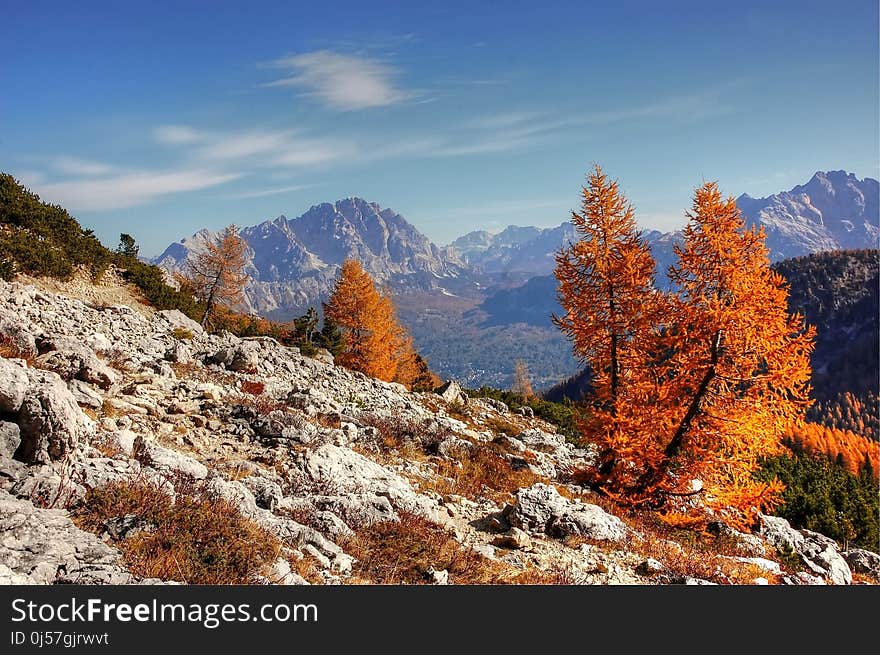 Mountainous Landforms, Mountain, Wilderness, Tree