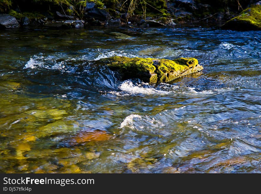 Water, Stream, Body Of Water, Watercourse